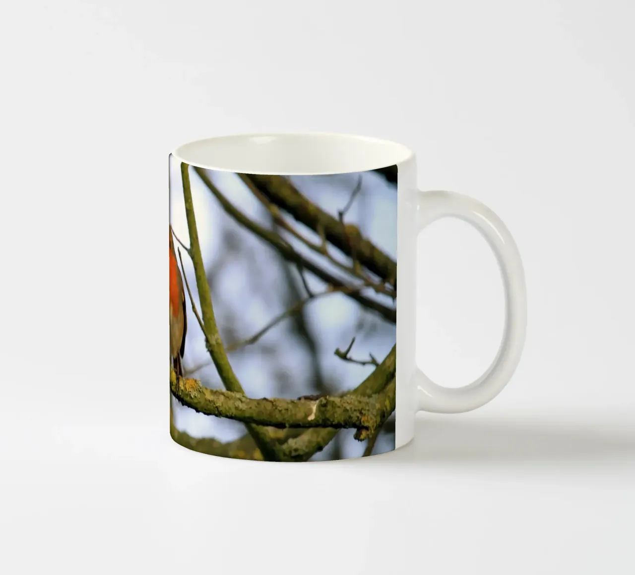 Pettirosso appollaiato su un ramo di un albero invernale tazza in ceramica da Jack C Photography