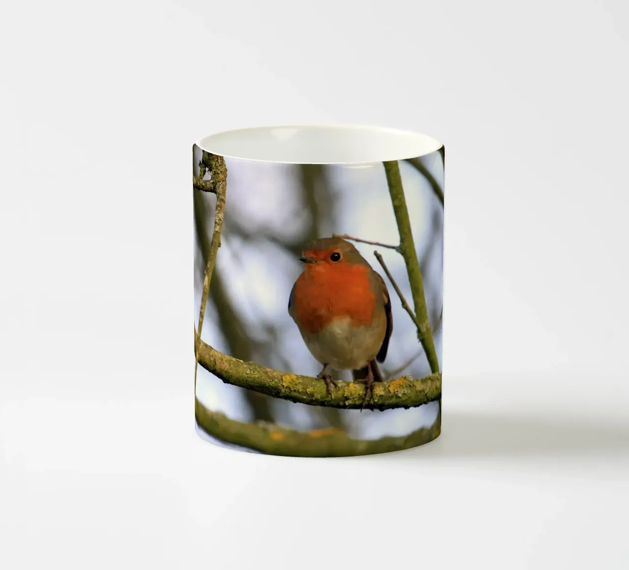 Pettirosso appollaiato su un ramo di un albero invernale tazza in ceramica da Jack C Photography
