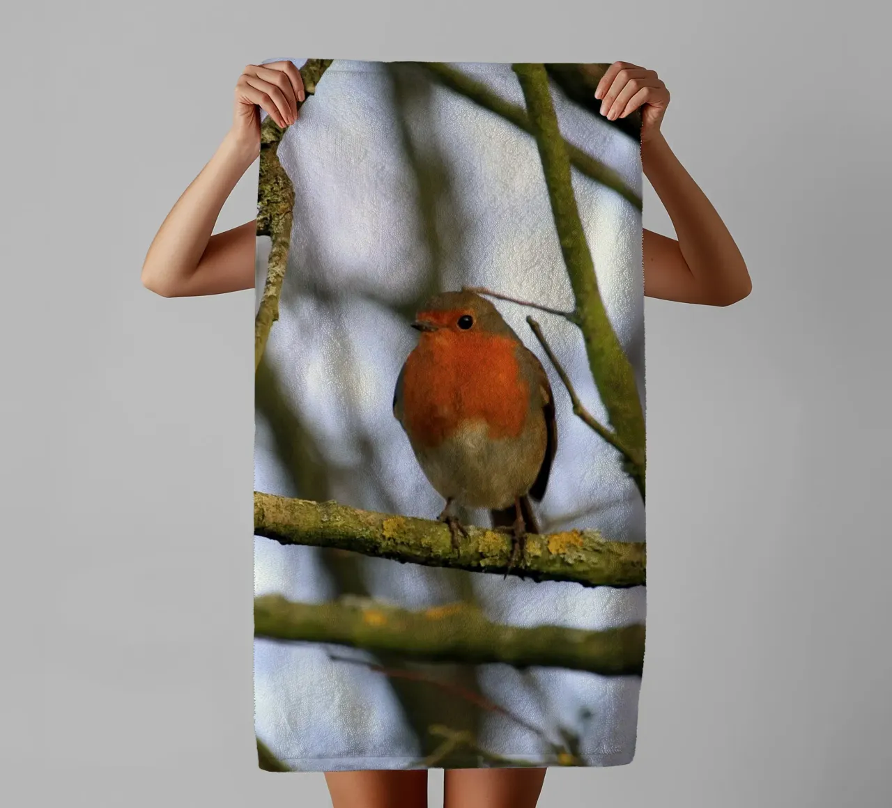Robin Perched on a Branch in an Winter Tree towel by Jack C Photography
