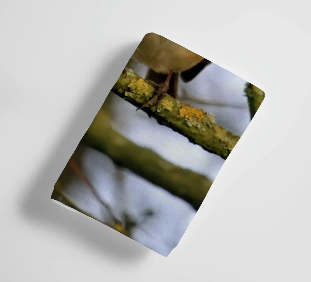 Robin Perched on a Branch in an Winter Tree towel by Jack C Photography