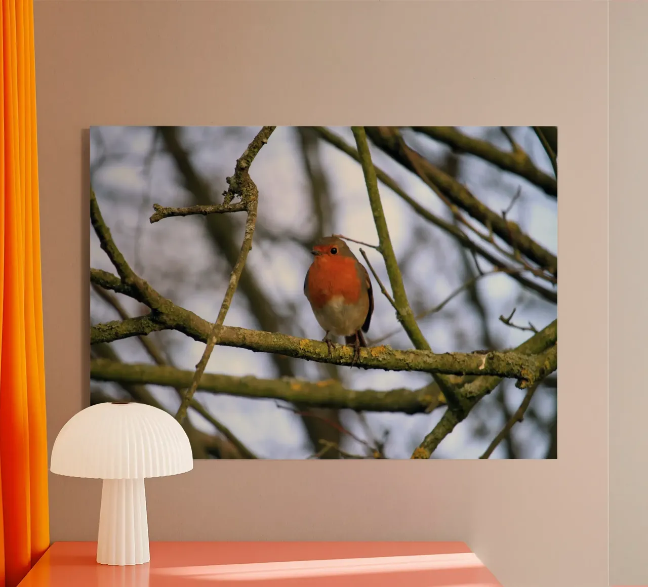 Pettirosso appollaiato su un ramo di un albero invernale plexiglass da Jack C Photography
