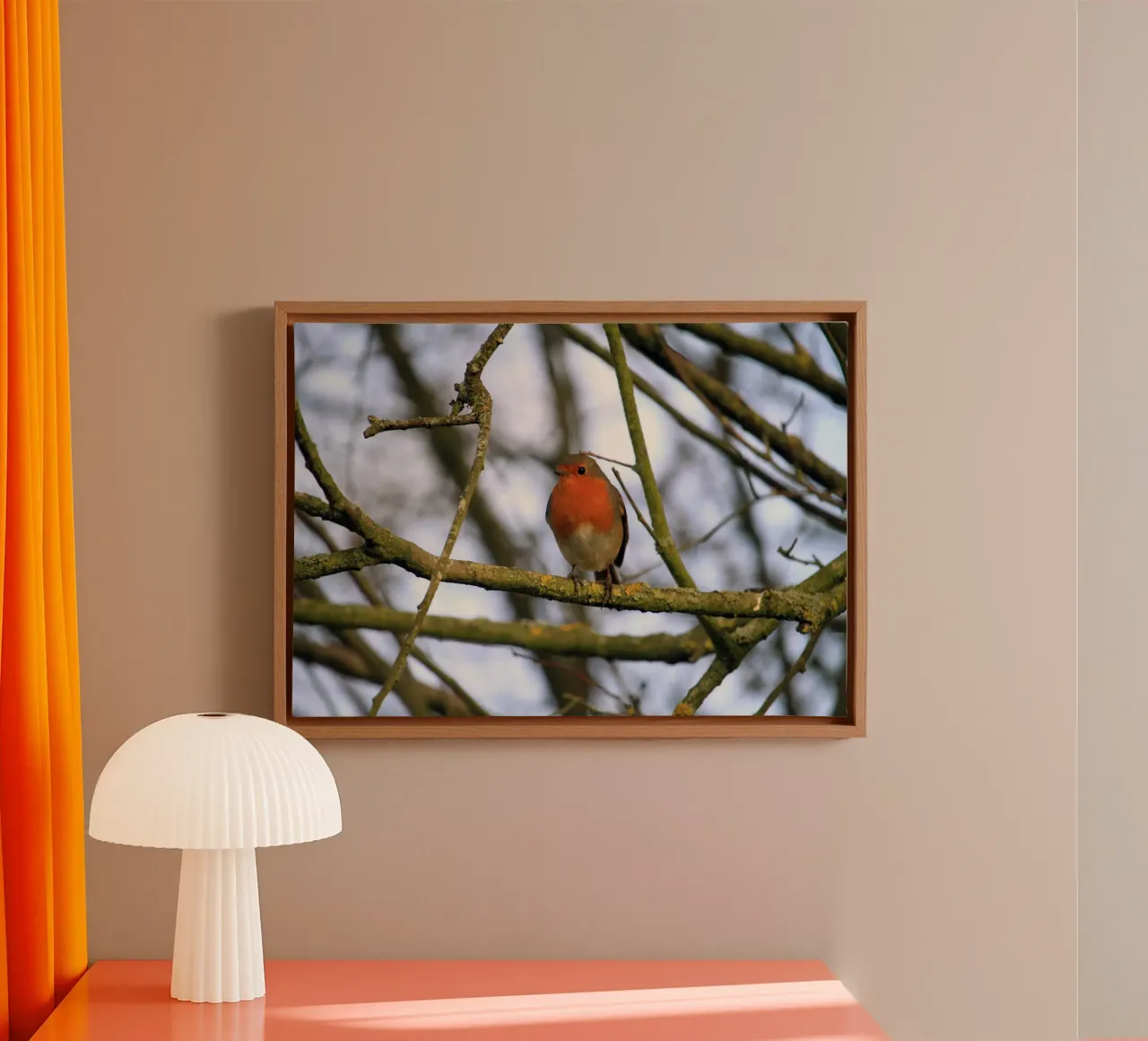 Robin Perched on a Branch in an Winter Tree canvas by Jack C Photography