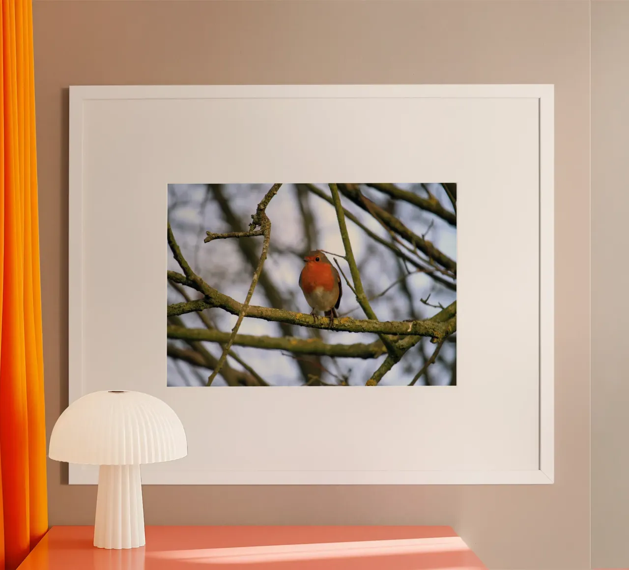 Pettirosso appollaiato su un ramo di un albero invernale carta hahnemühle da Jack C Photography
