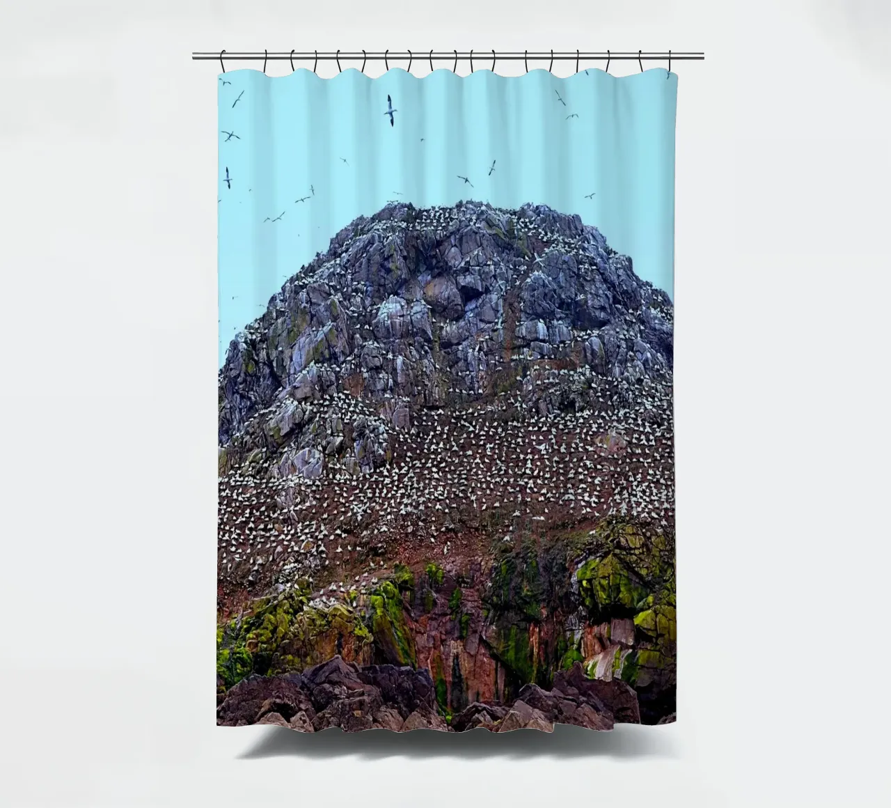 FAA308 Sept Iles. The Gannets shower curtain by Thierry vobmann photography