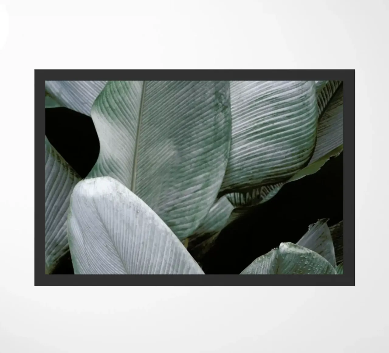 Tropical Silver Leafs zerbino da Studio Nahili