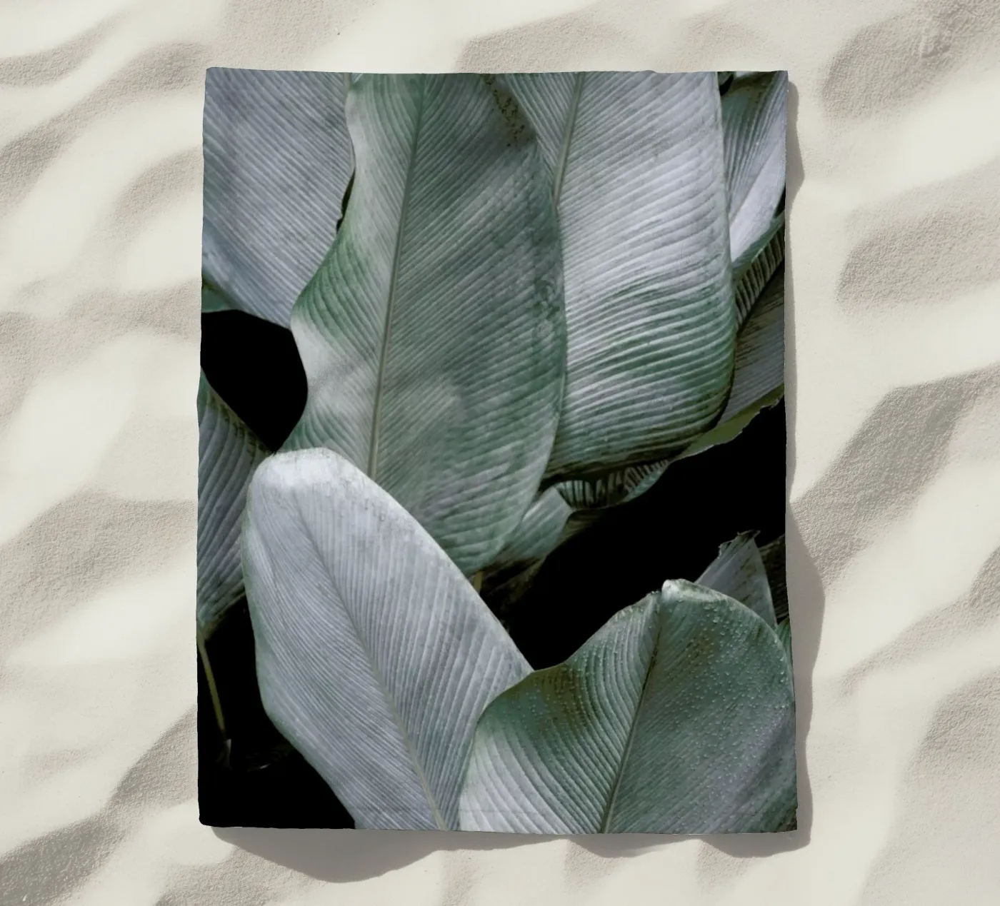 Tropical Silver Leafs telo mare da Studio Nahili
