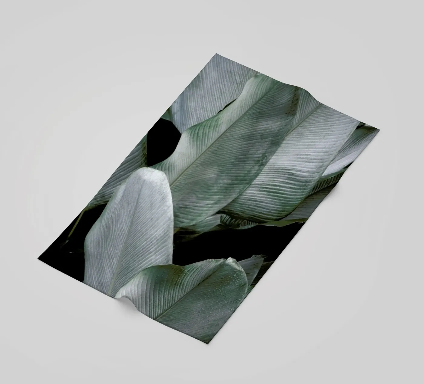 Tropical Silver Leafs telo mare da Studio Nahili