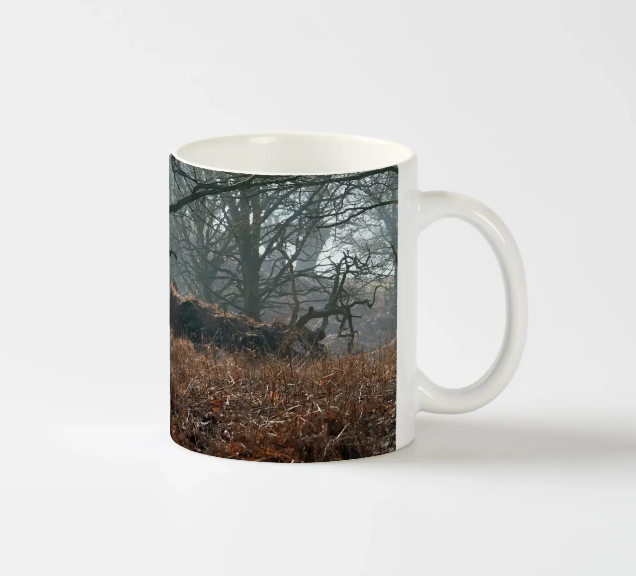 Scena di bosco invernale nebbiosa e cupa tazza in ceramica da Jack C Photography