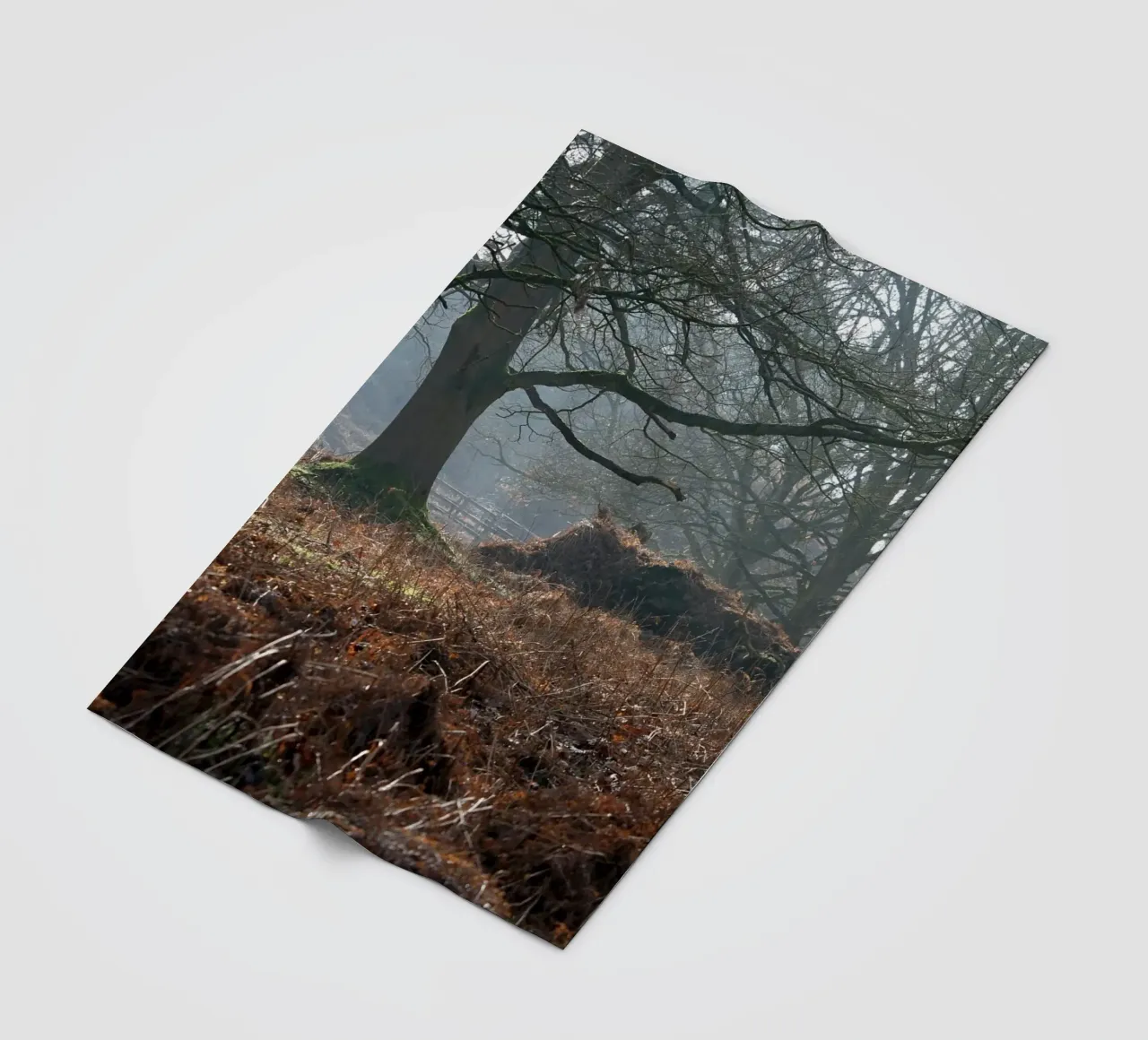 Scena di bosco invernale nebbiosa e cupa coperta in pile da Jack C Photography