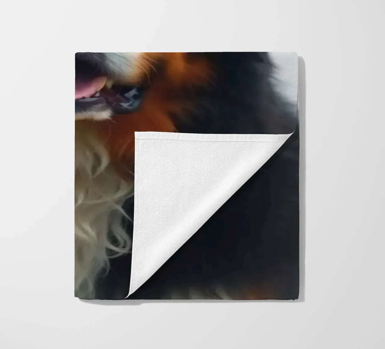 Beautiful Bernese Mountain Dog #146 beach towel by Yumis.Beargang.and.Me