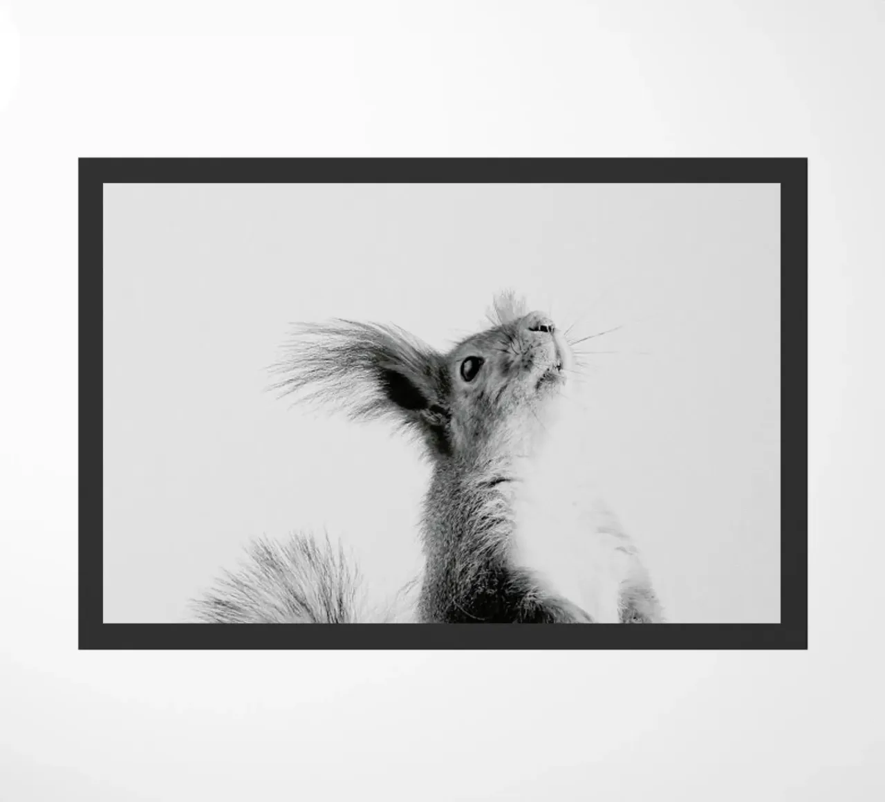 Red Squirrel III zerbino da Paws & Claws