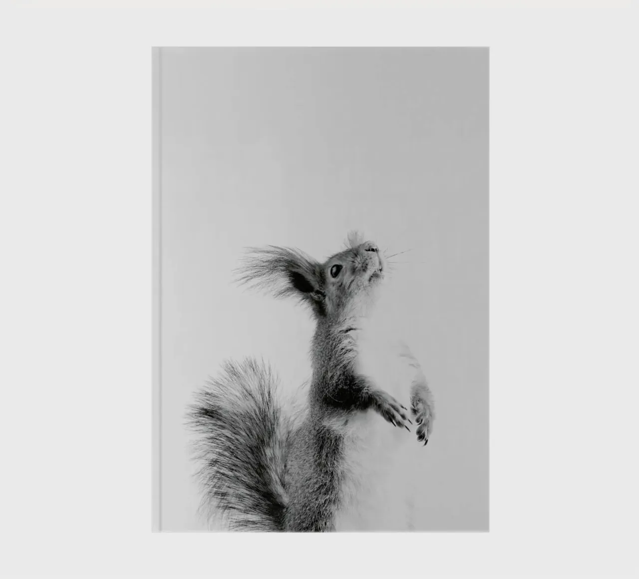 Red Squirrel III notebook by Paws & Claws