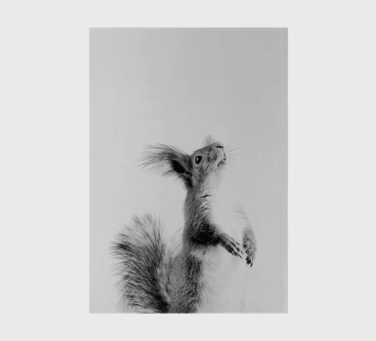 Red Squirrel III notebook by Paws & Claws
