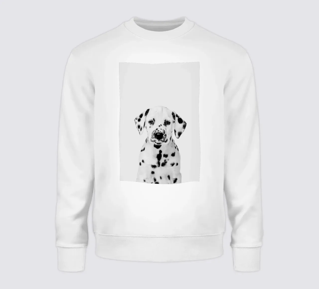 Dalmatian Puppy II Sweatshirt von Paws & Claws