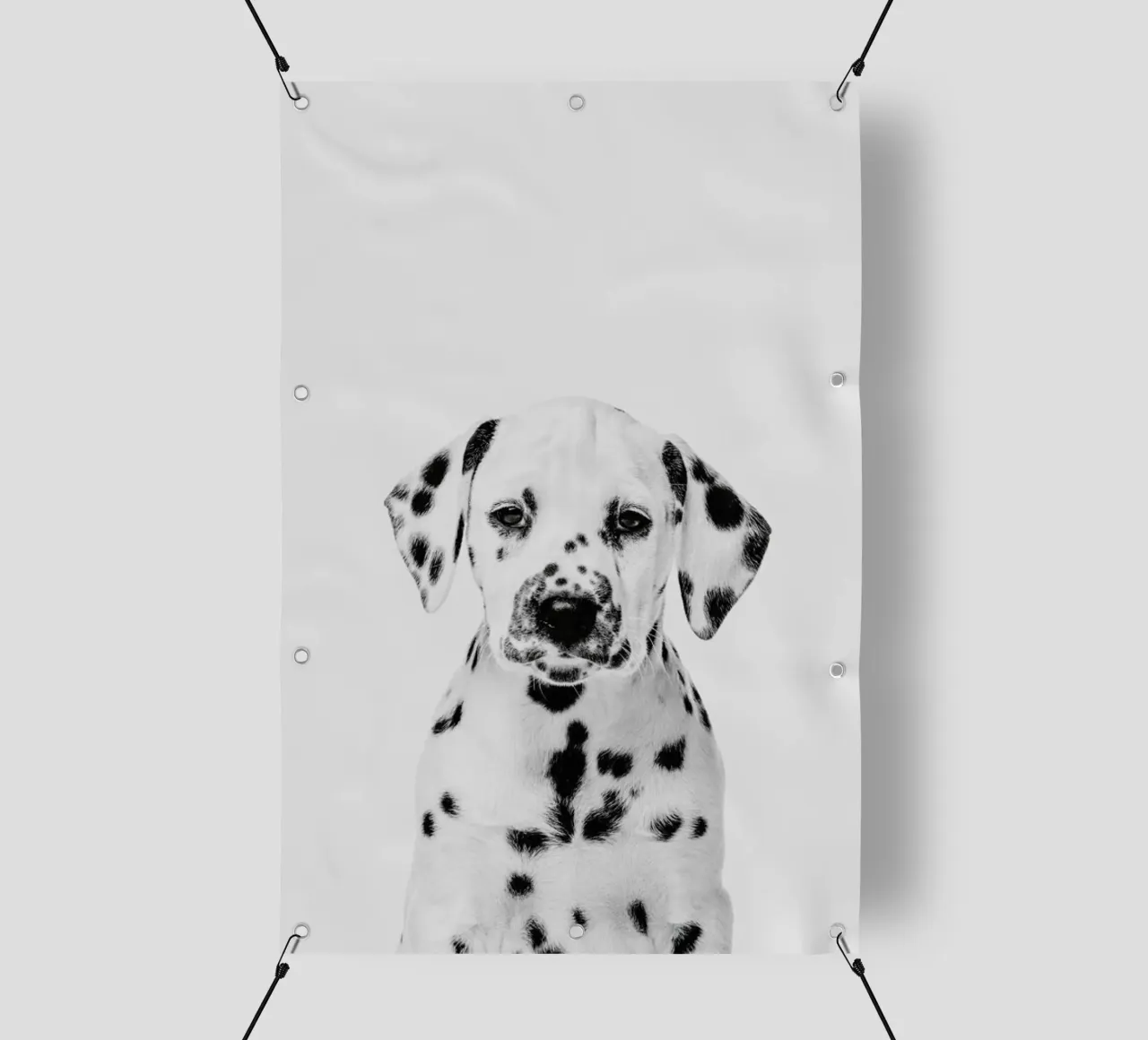 Dalmatian Puppy II telo in pvc da Paws & Claws