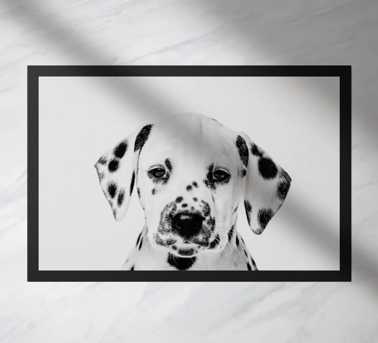 Dalmatian Puppy II zerbino da Paws & Claws