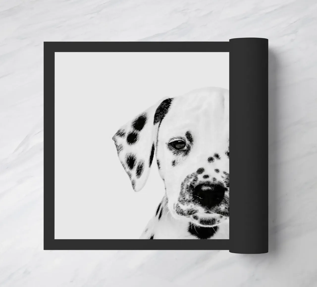 Dalmatian Puppy II zerbino da Paws & Claws