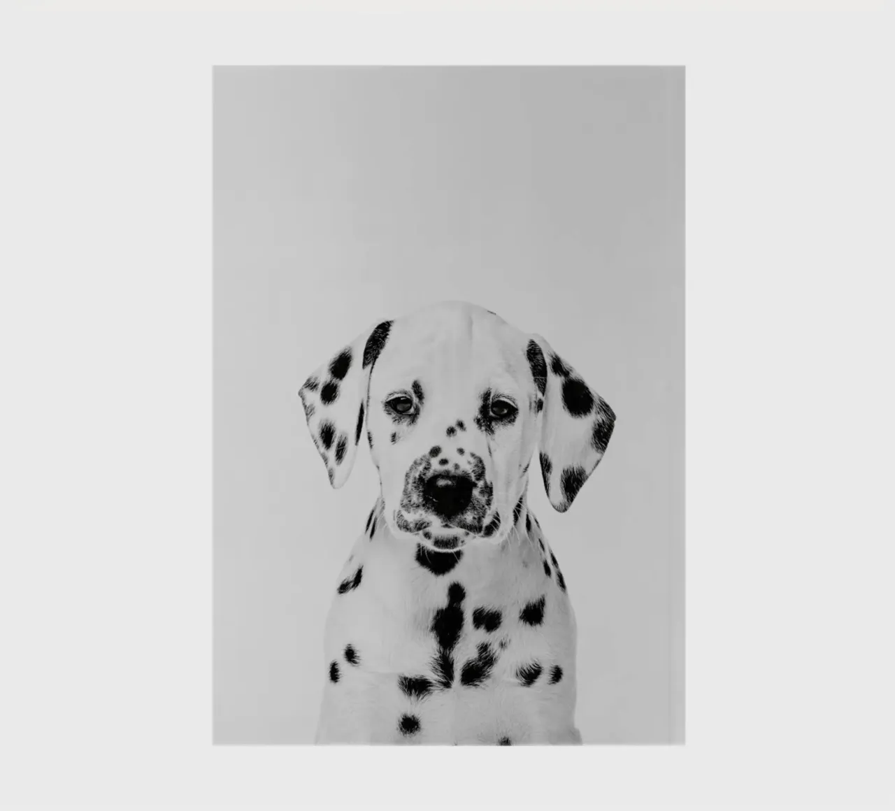 Dalmatian Puppy II notebook by Paws & Claws