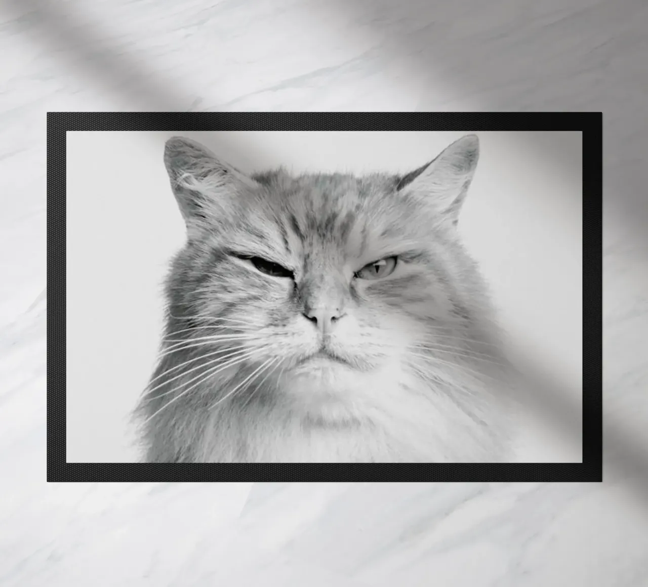 Scowl II zerbino da Paws & Claws
