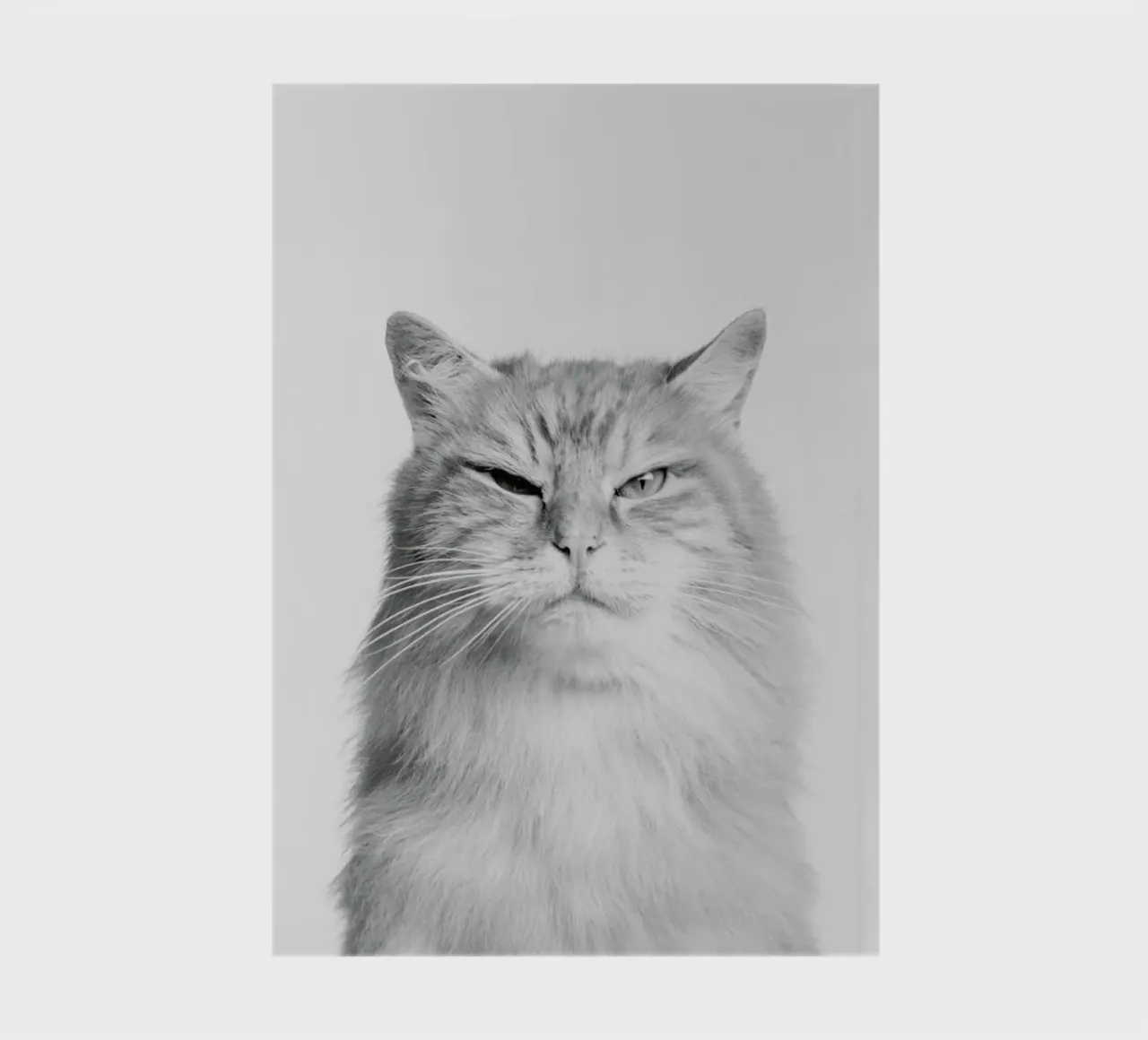Scowl II notebook by Paws & Claws