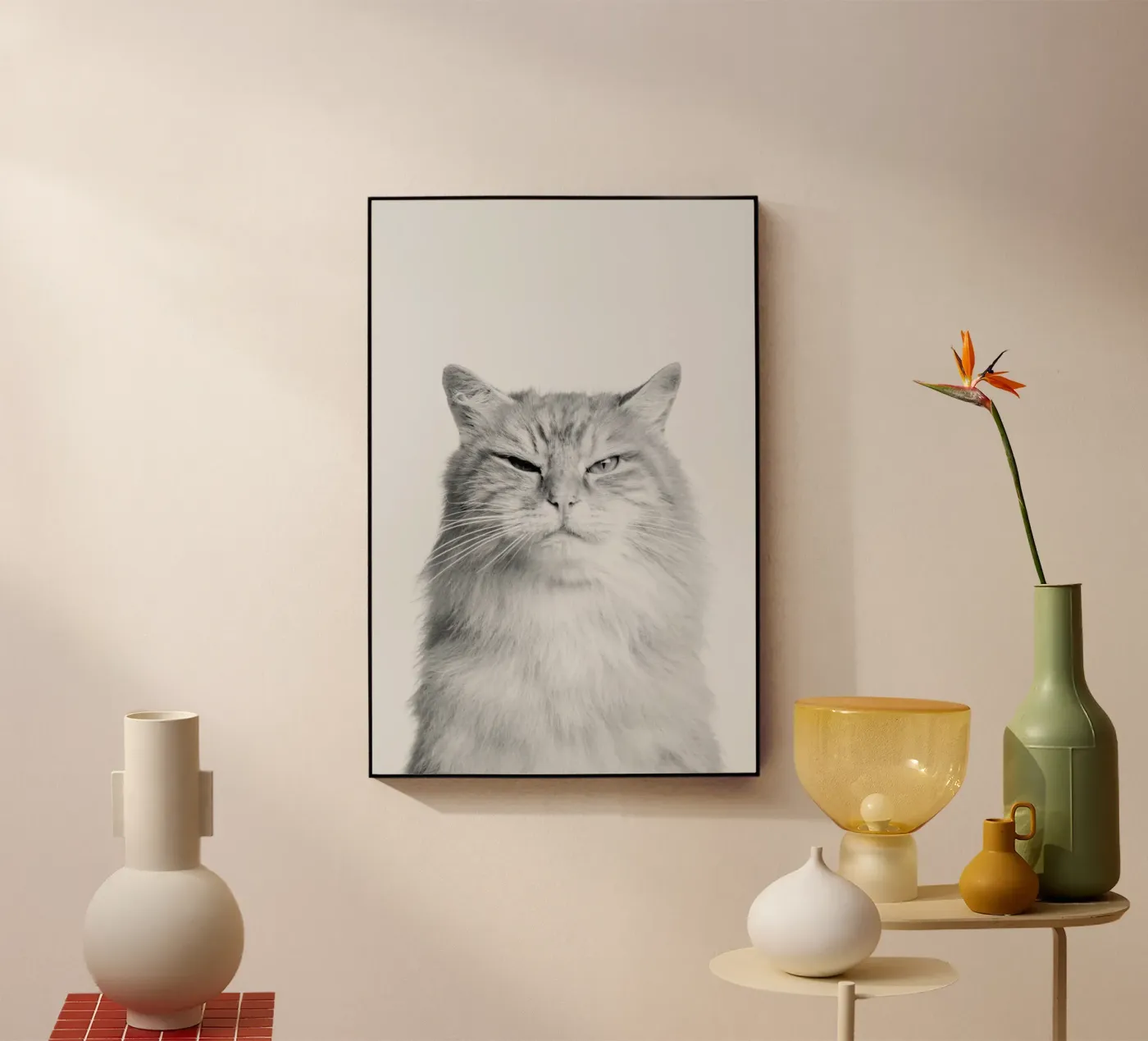 Scowl II plexiglass da Paws & Claws