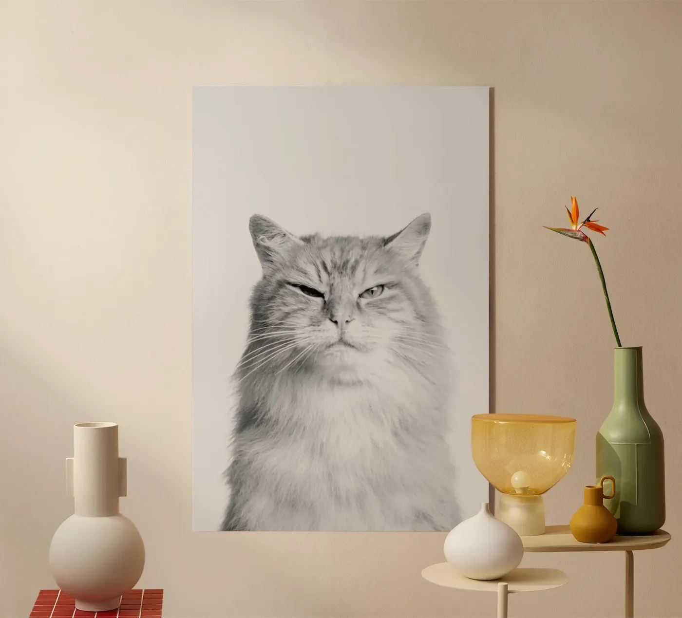 Scowl II plexiglass da Paws & Claws