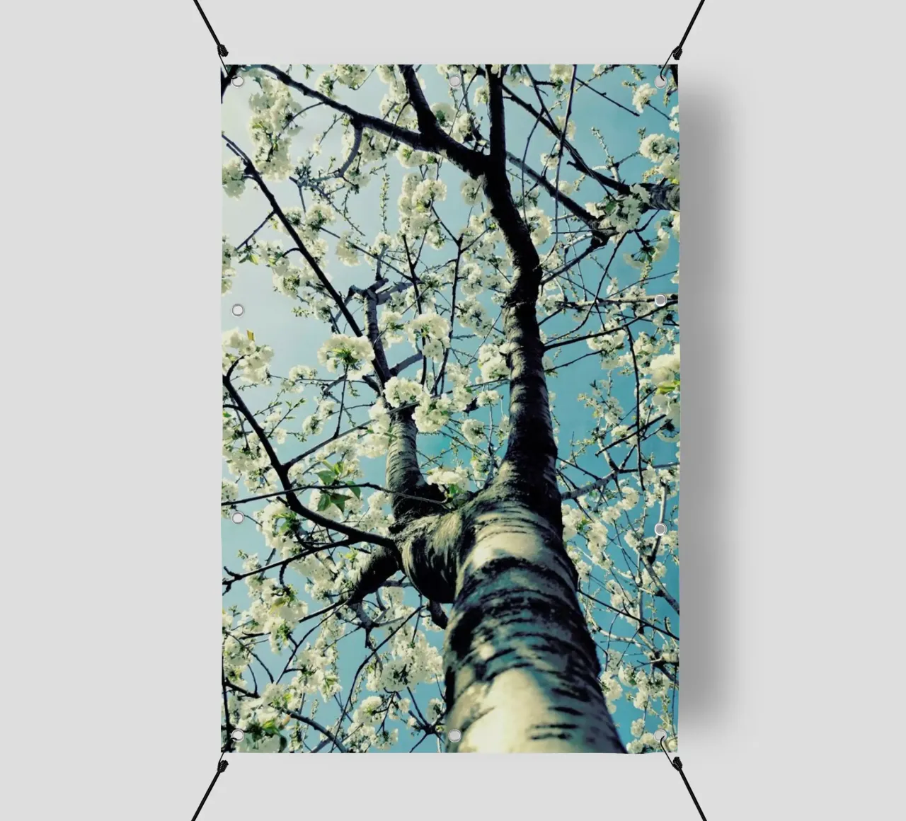Under The Cherry Tree telo in pvc da Angelo Cerantola