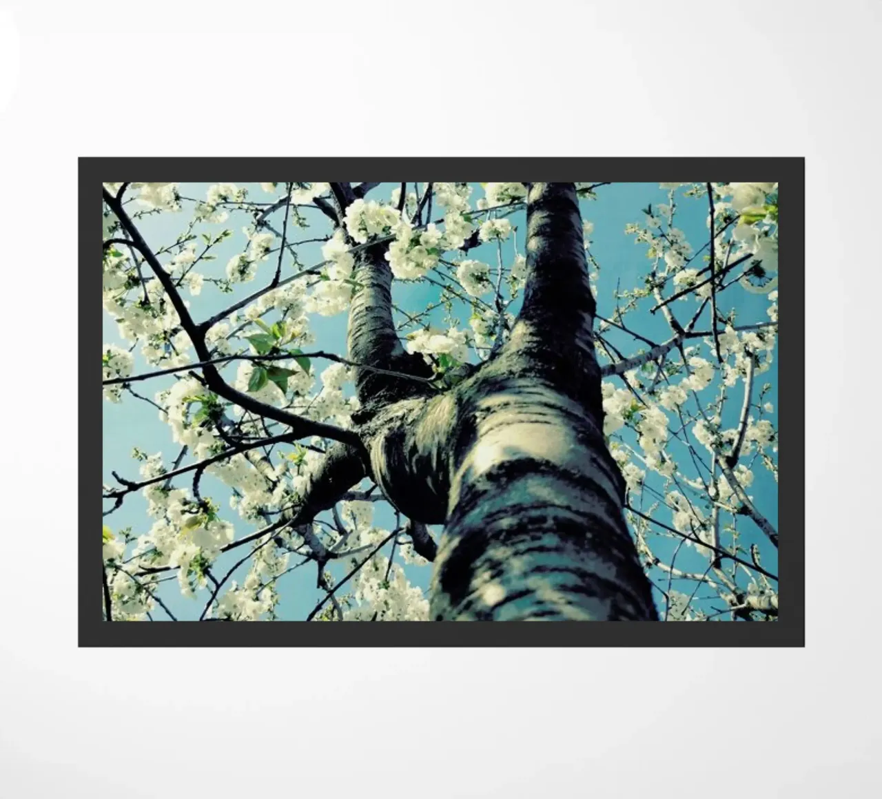 Under The Cherry Tree zerbino da Angelo Cerantola