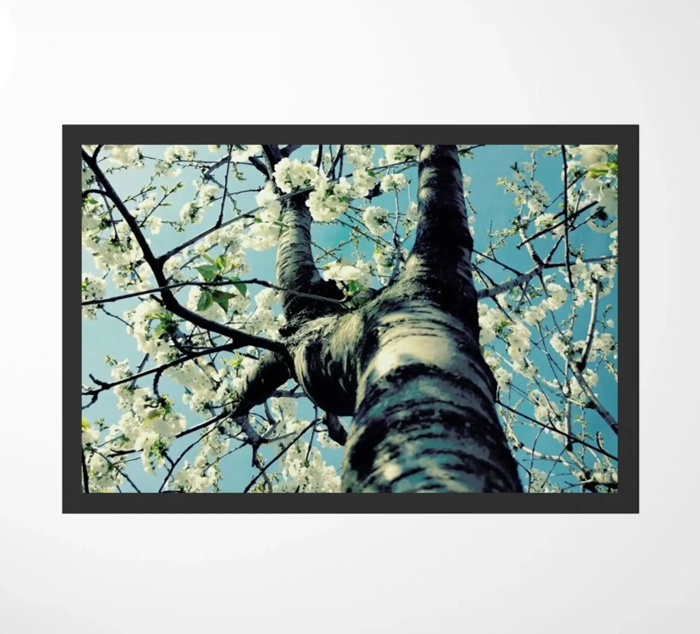 Under The Cherry Tree doormat by Angelo Cerantola