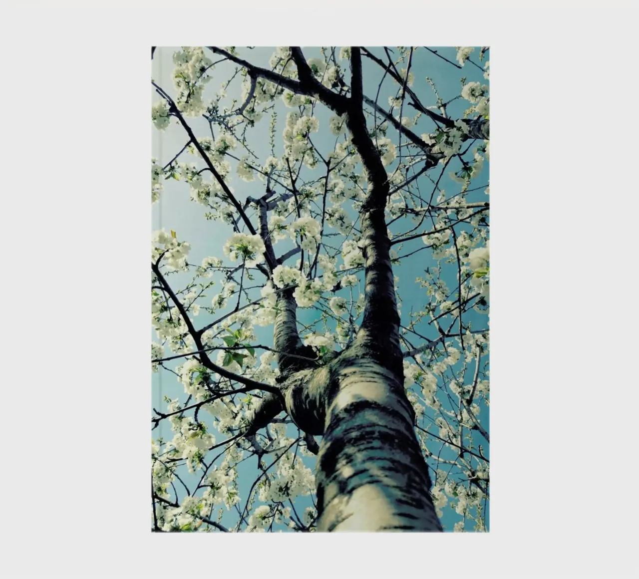 Under The Cherry Tree notebook by Angelo Cerantola