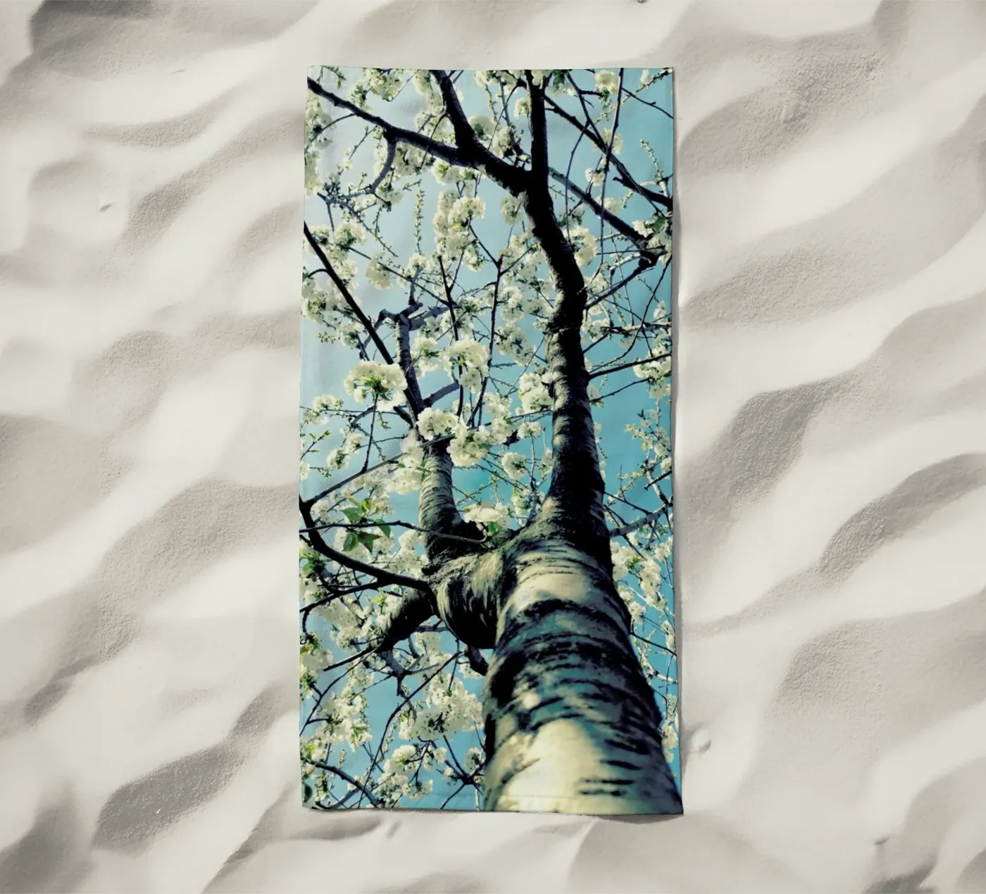 Under The Cherry Tree telo mare da Angelo Cerantola