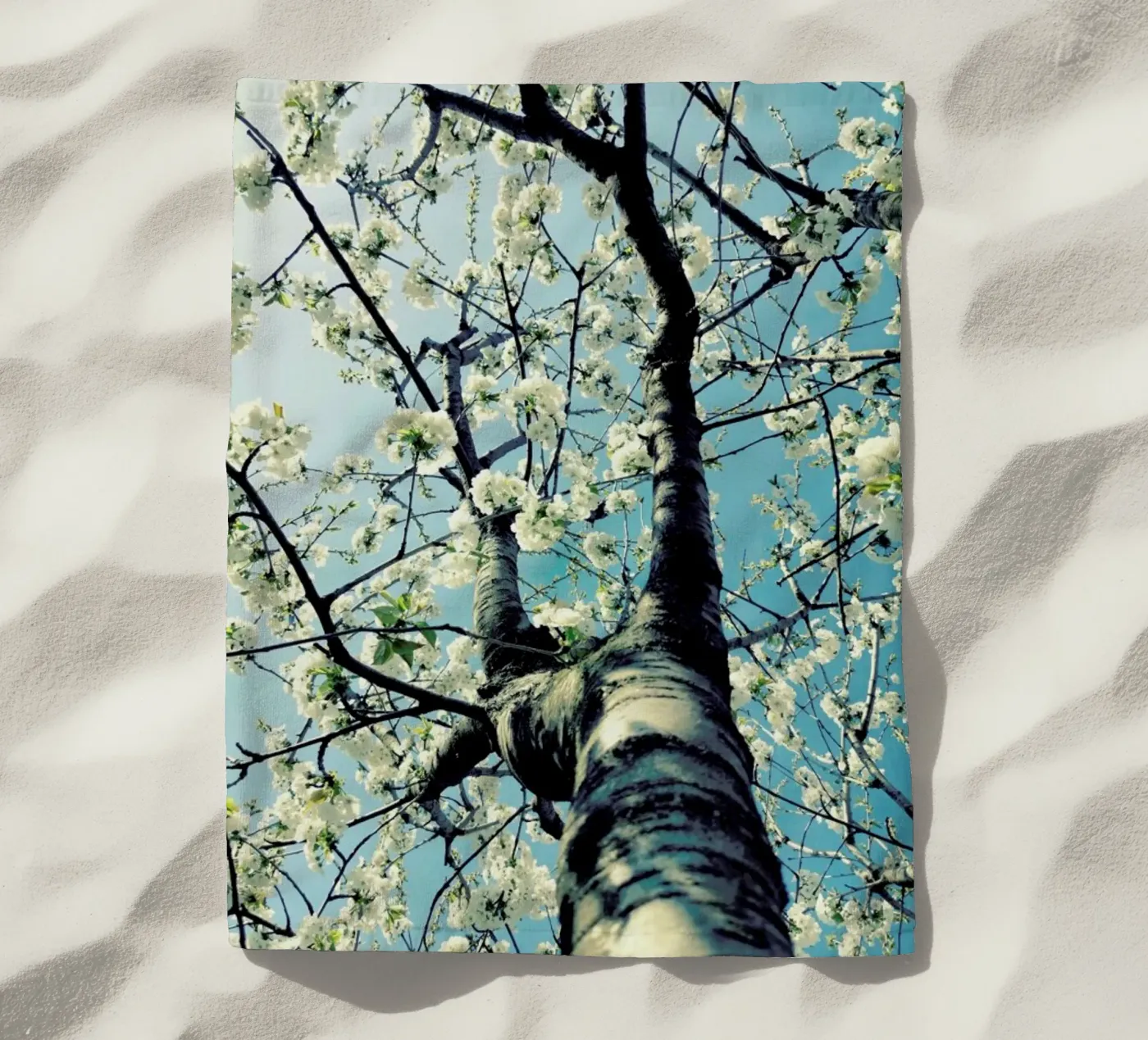 Under The Cherry Tree telo mare da Angelo Cerantola