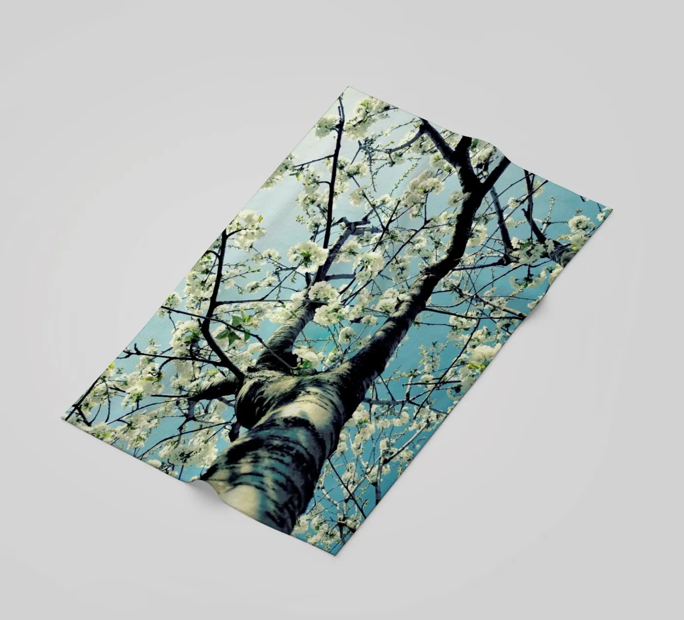 Under The Cherry Tree telo mare da Angelo Cerantola