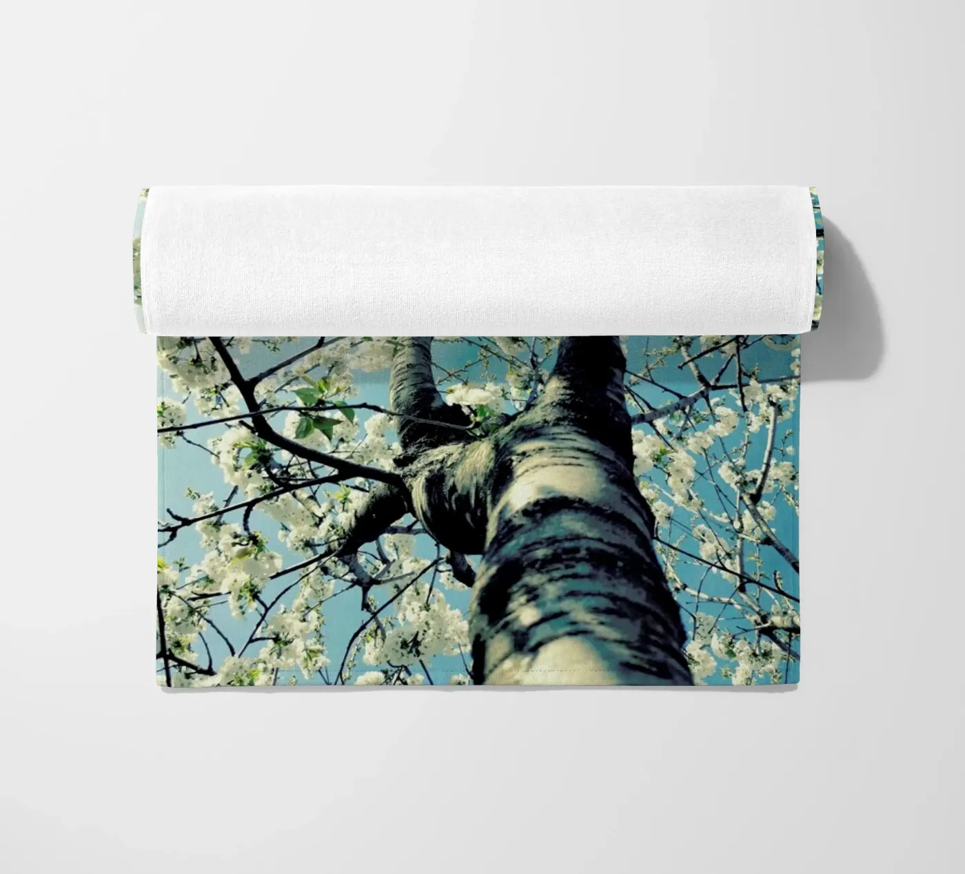 Under The Cherry Tree telo mare da Angelo Cerantola