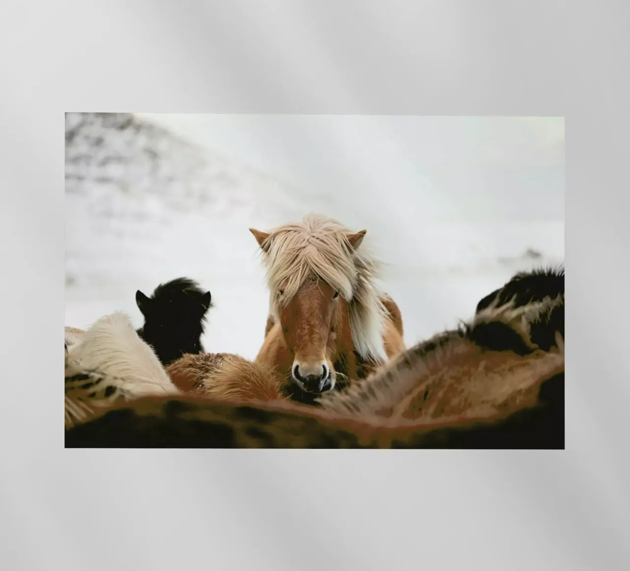 Head On by @robmulally pellicola backlit da EyeEm Mobile GmbH