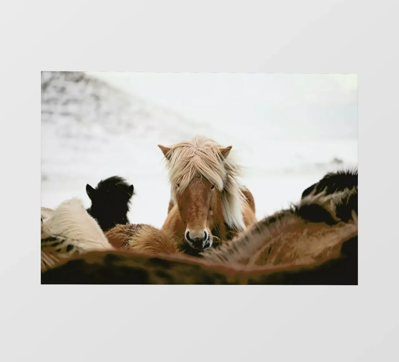 Head On by @robmulally pellicola backlit da EyeEm Mobile GmbH