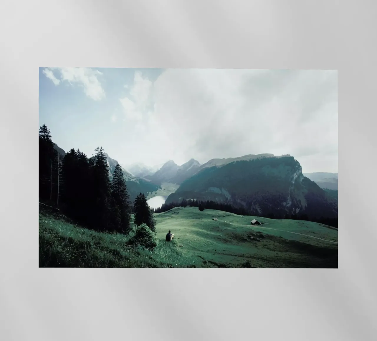 Taking It In by @runawayueli pellicola backlit da EyeEm Mobile GmbH