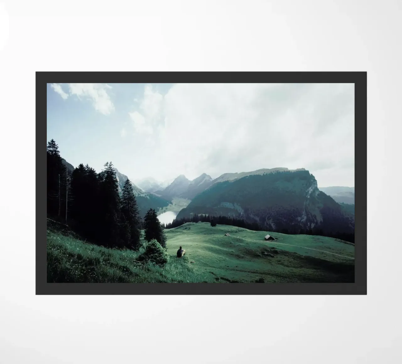 Taking It In by @runawayueli zerbino da EyeEm Mobile GmbH