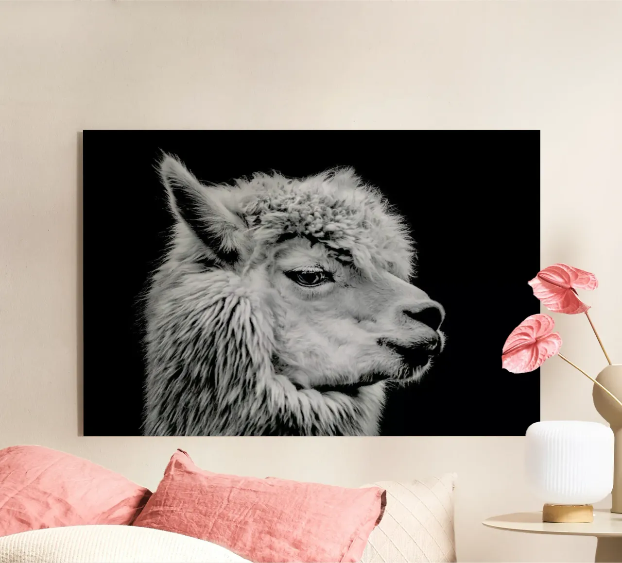 Llama II plexiglass da Natural Kingdom