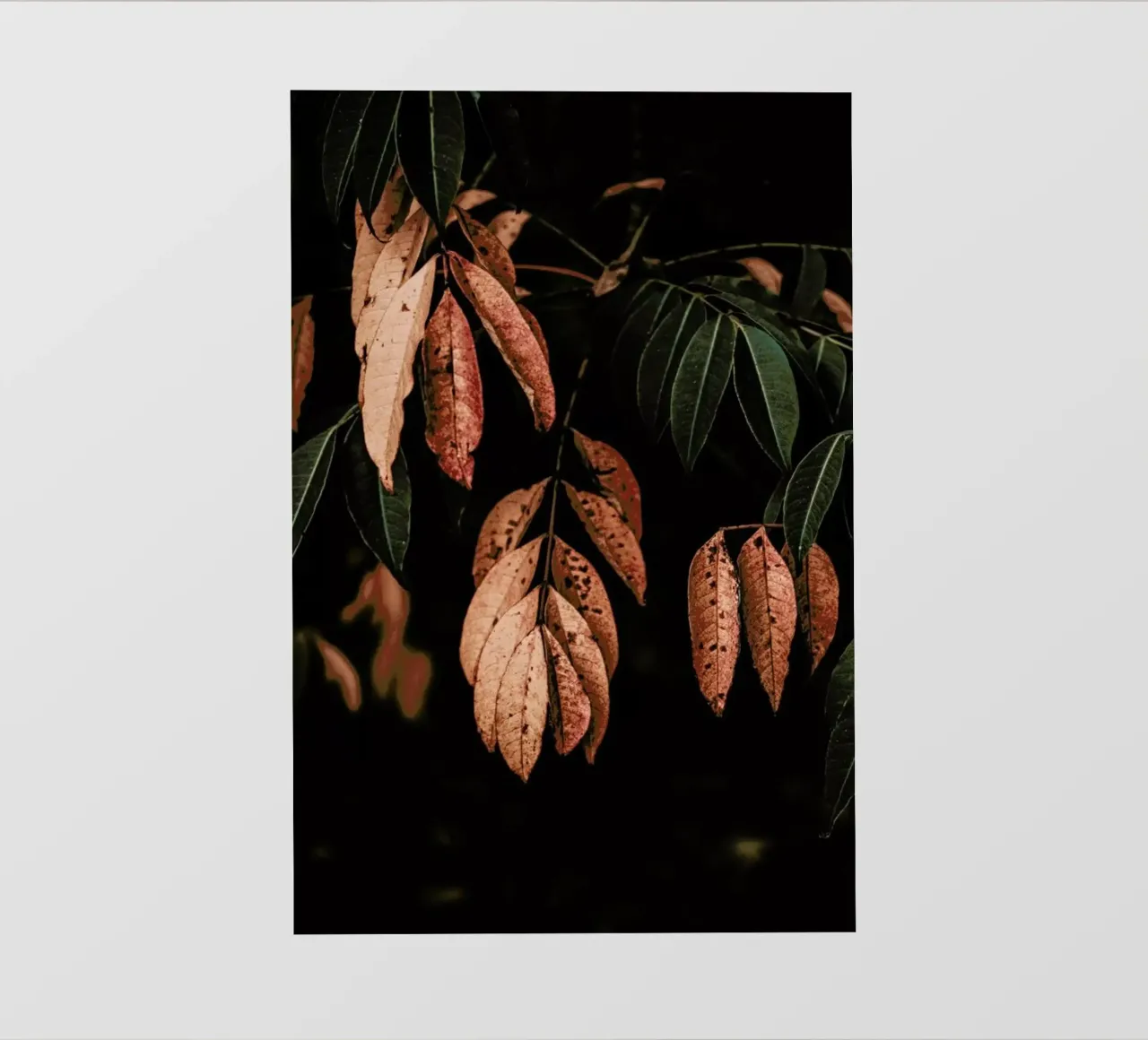 Light In Darkness telo in pvc da Ingrid Beddoes