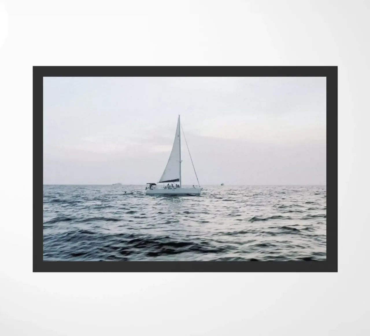 Sailing Out zerbino da METROPOLIS