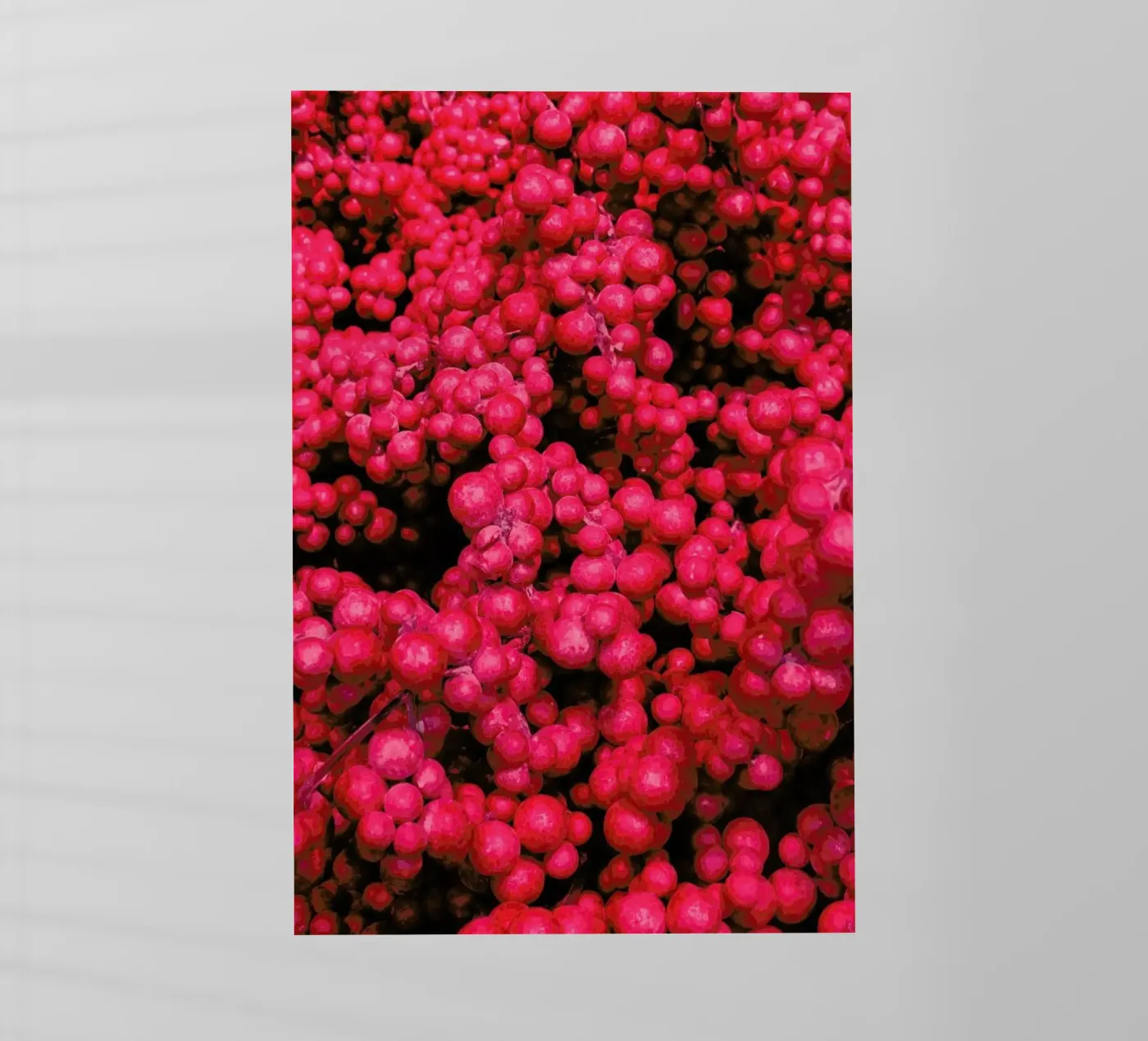 Fruity Pinkness pellicola backlit da Sebastian Hilgetag