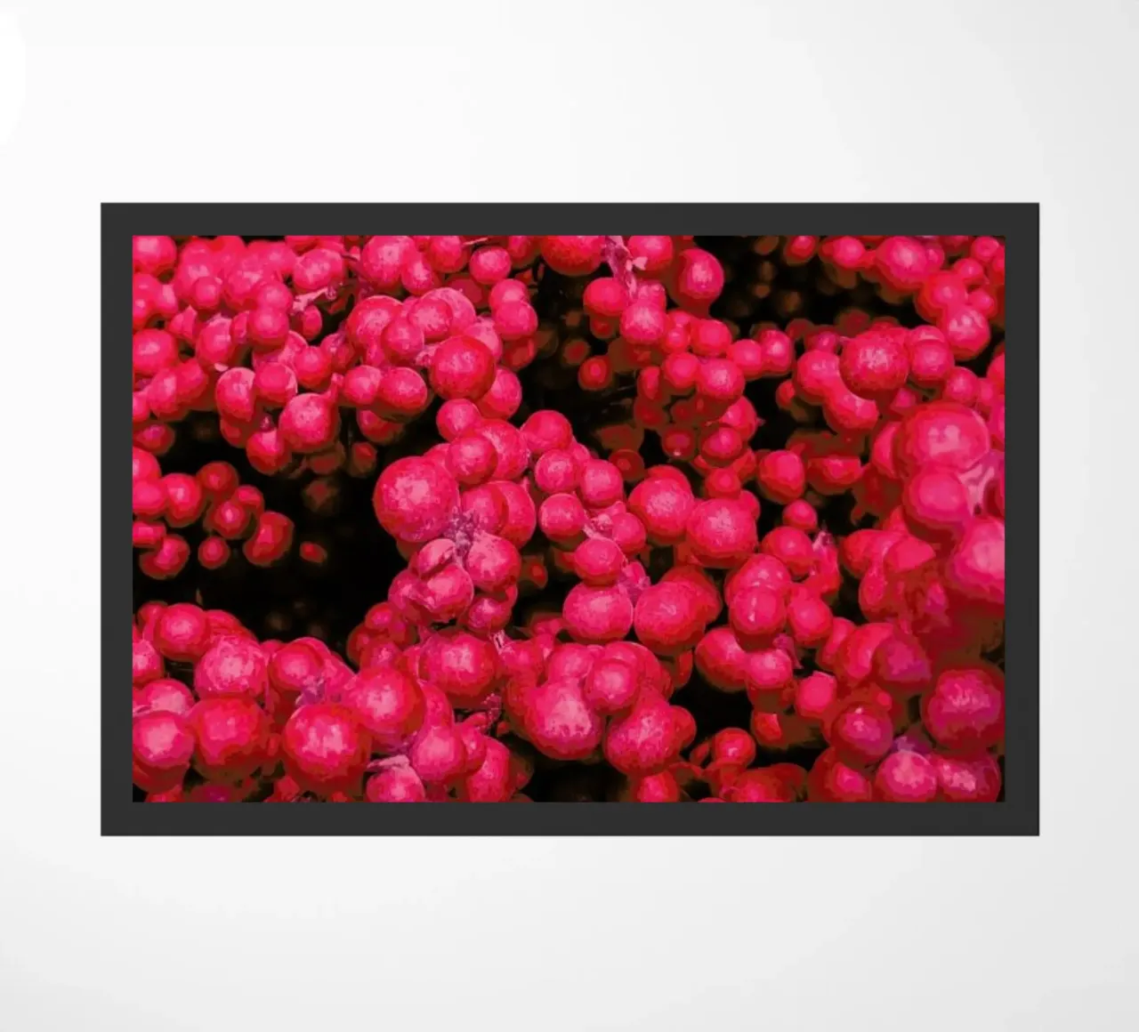 Fruity Pinkness zerbino da Sebastian Hilgetag