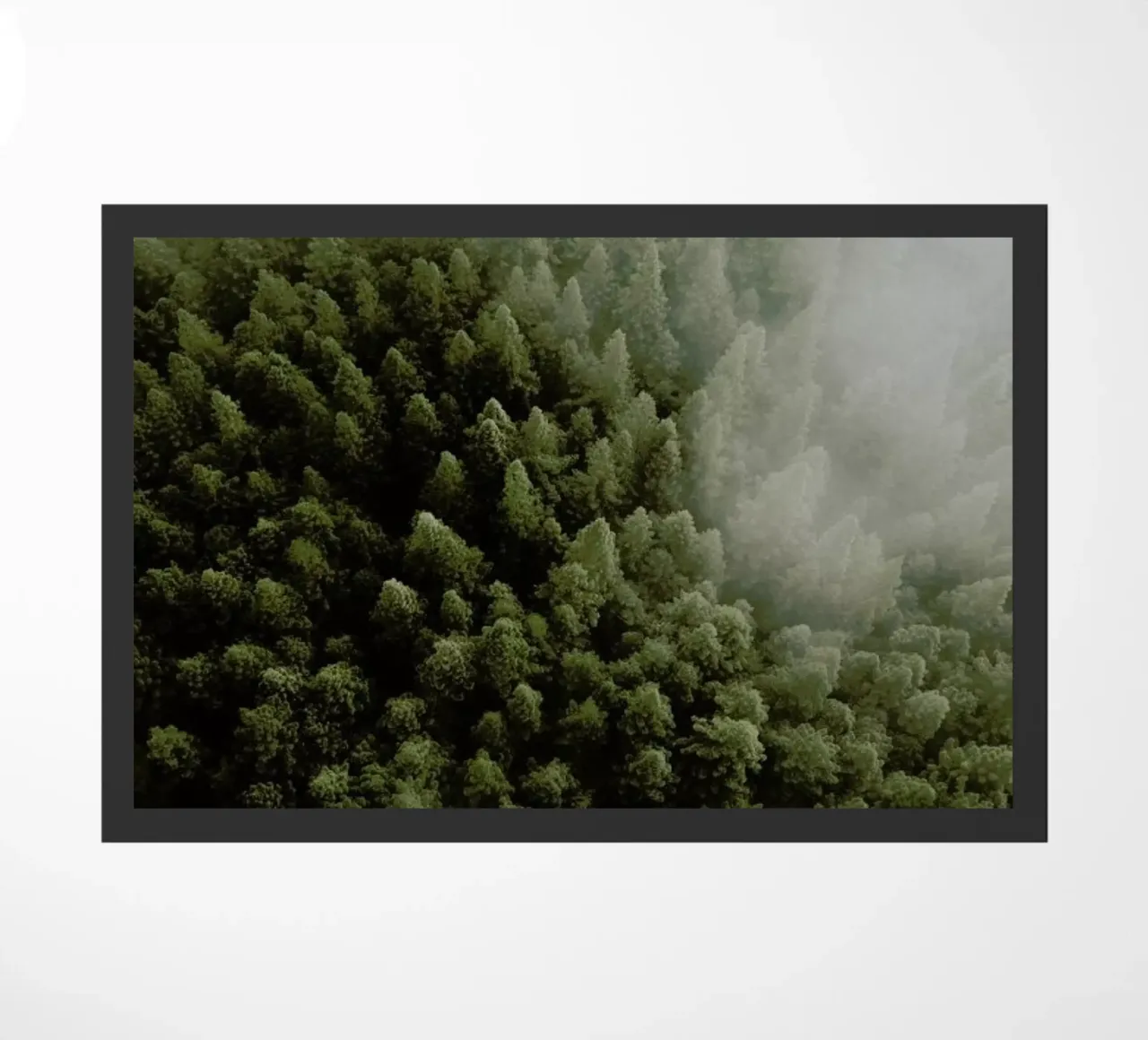 Enchanted Forests doormat by METROPOLIS