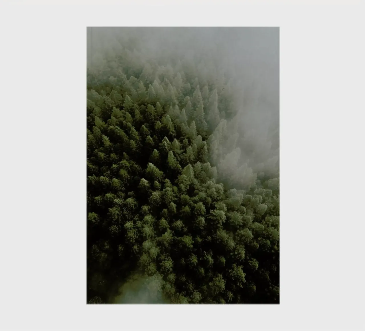 Enchanted Forests notebook by METROPOLIS