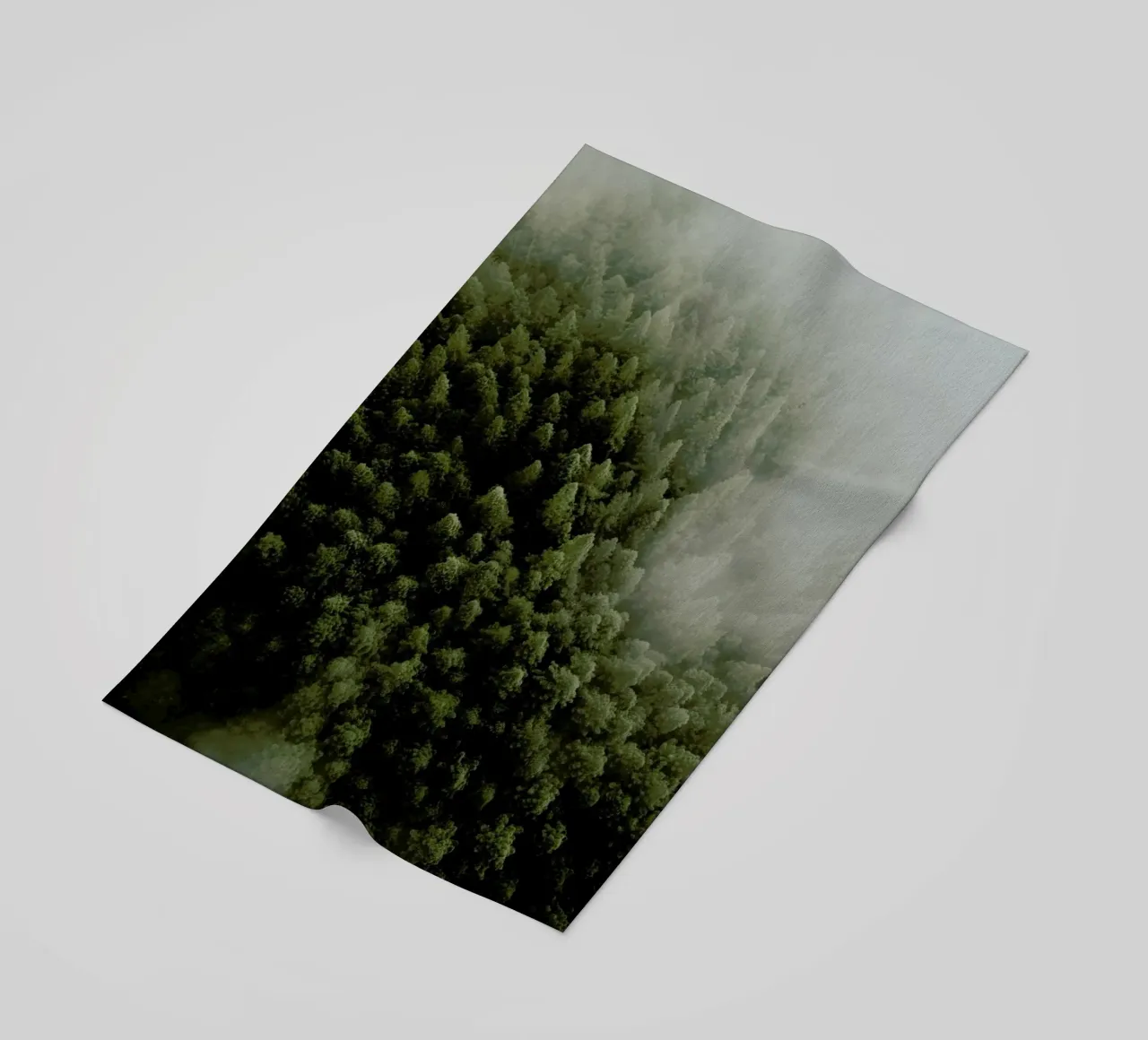 Enchanted Forests telo mare da METROPOLIS