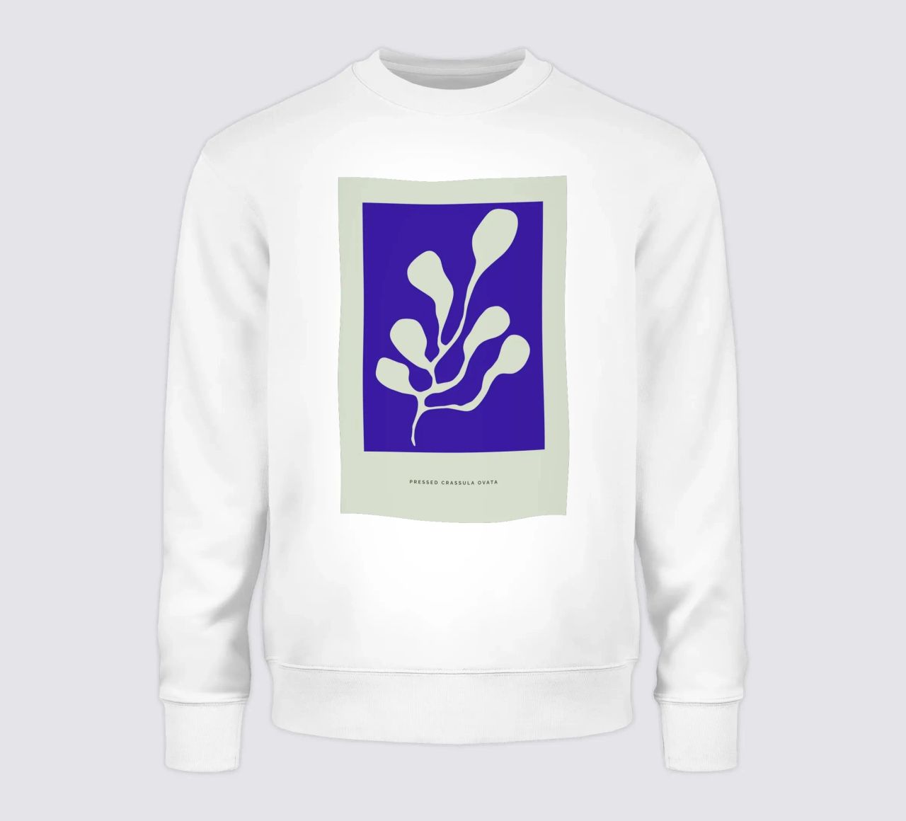 Pressed Crassula Ovata sudadera de Studio One
