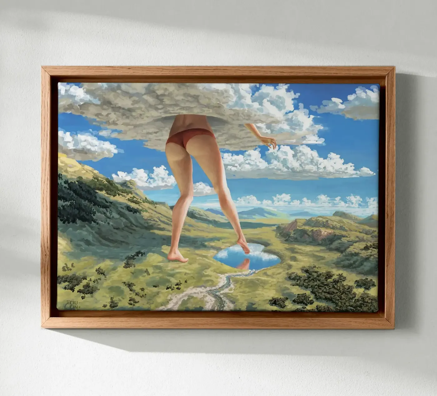 nuage toile de Abstract Botanical Art