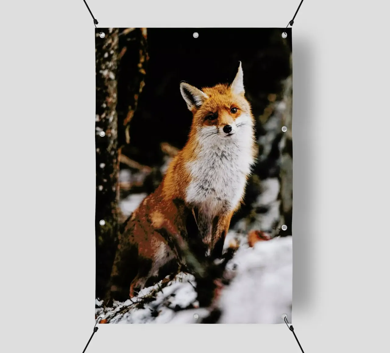 Red Fox telo in pvc da EyeEm Mobile GmbH