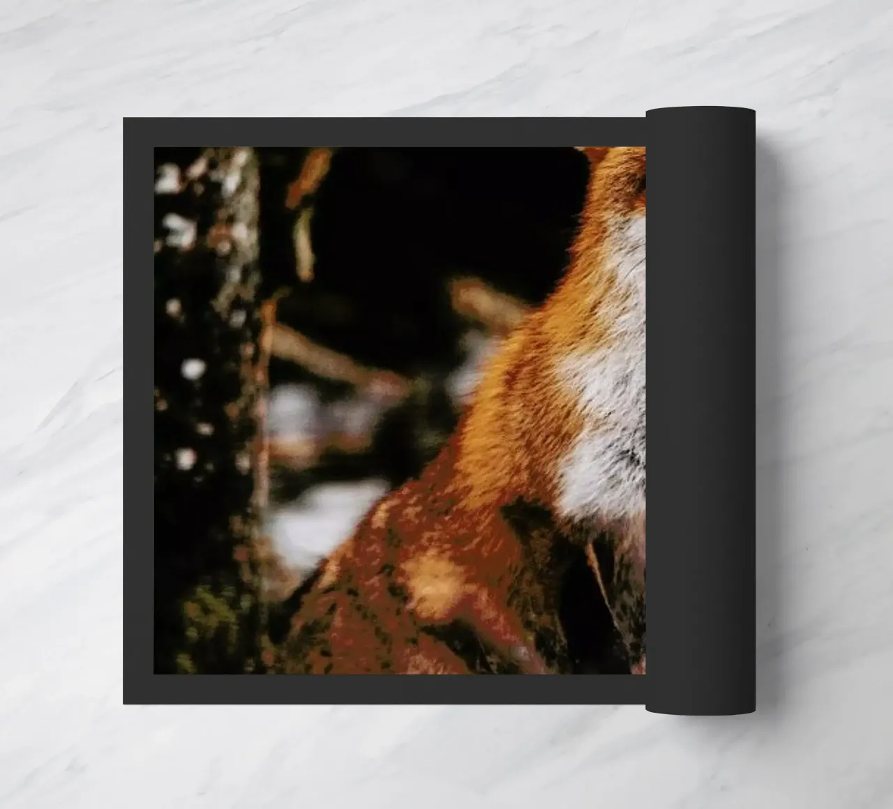 Red Fox zerbino da EyeEm Mobile GmbH